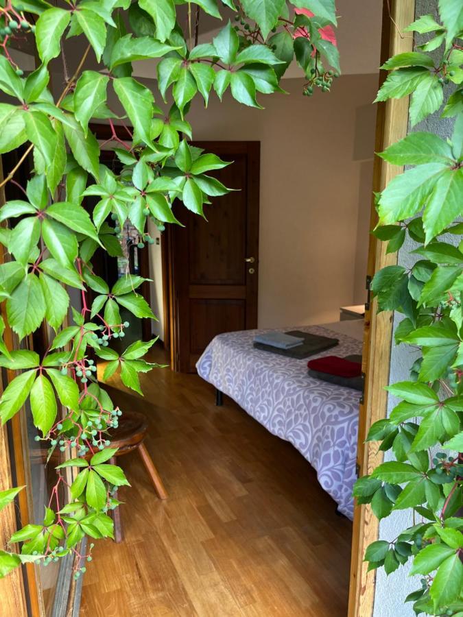 Chalet Blanc "Le Flocon" Courmayeur Luaran gambar