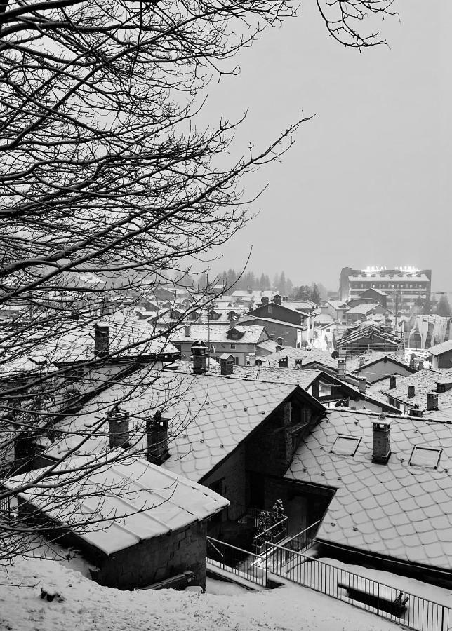 Chalet Blanc "Le Flocon" Courmayeur Luaran gambar